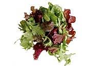 Karışık Maskolin Salata