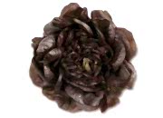 Ekspres Salata Kırmızı