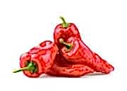 Kırmızı Kapya Biber